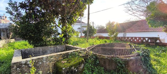 1 bedroom Villa in Paialvo, Portugal No. 30450 15