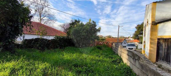 1 bedroom Villa in Paialvo, Portugal No. 30450 16