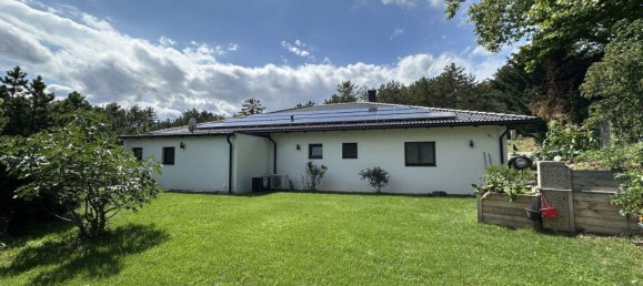 Bungalow de 5 habitaciónes en Bad Fischau-Brunn, Austria No. 246085 13