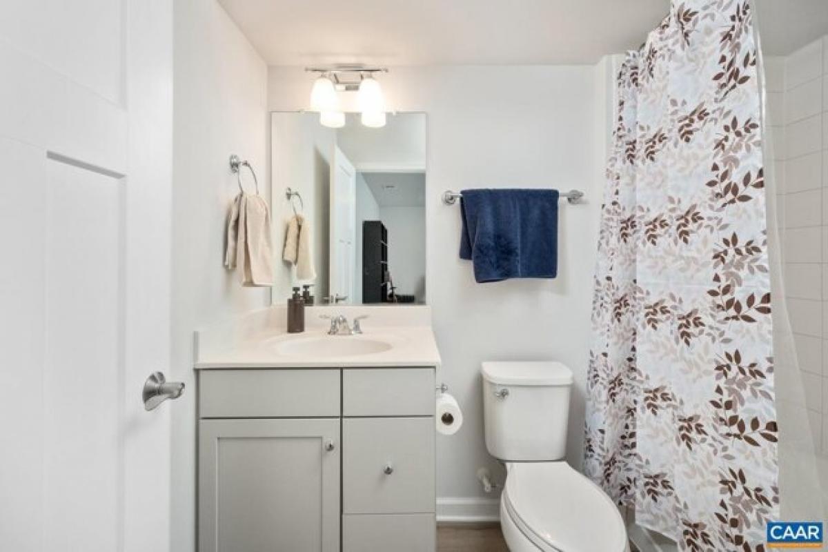 3 bedrooms House in Charlottesville, USA No. 407798