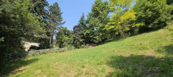  Land in Spittal an der Drau, Austria No. 251285 4