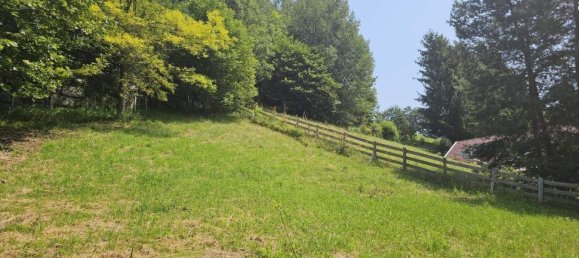  Land in Spittal an der Drau, Austria No. 251285 3