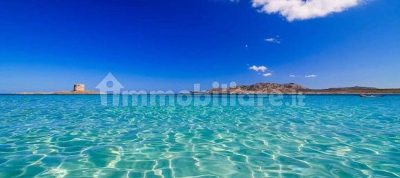 2 bedrooms Villa in Stintino, Italy No. 103552 32