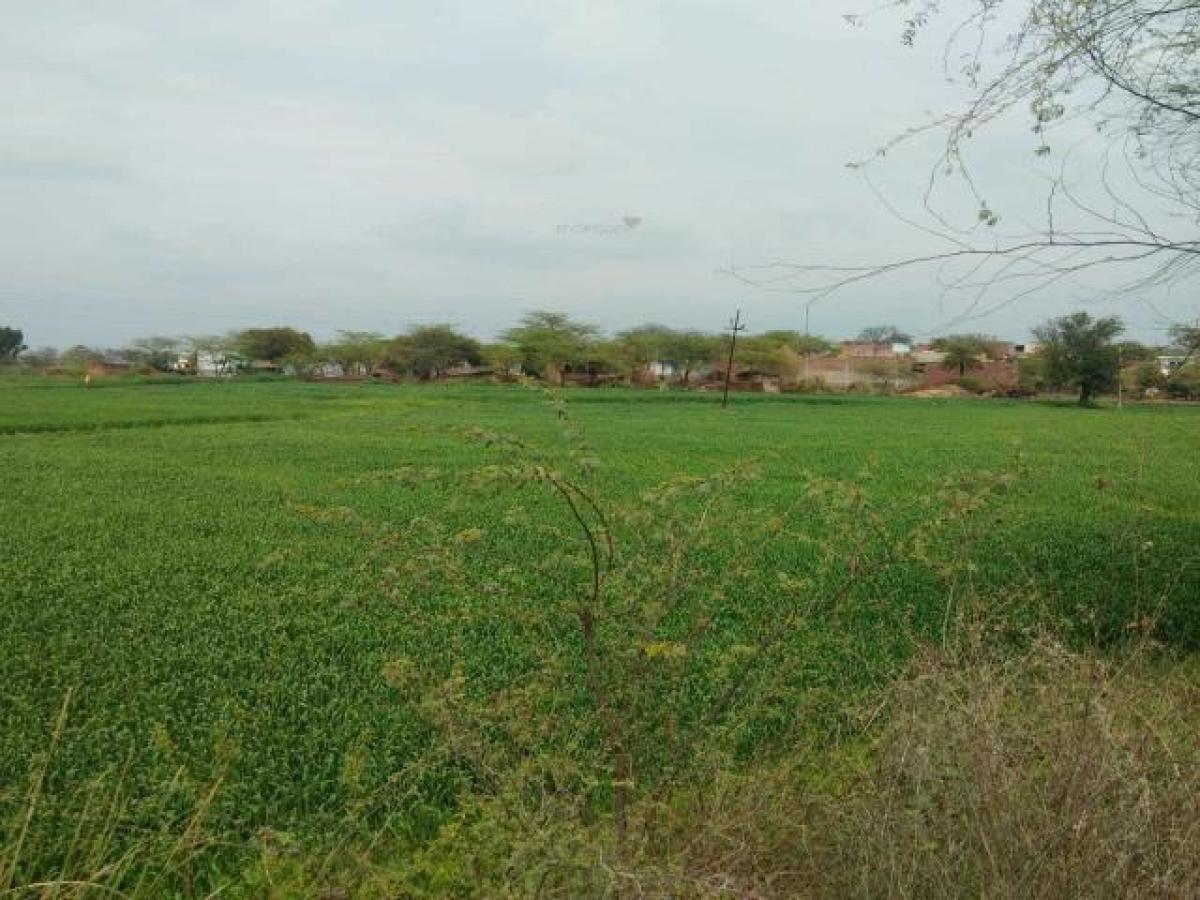  Land in Ghaziabad, India No. 34826
