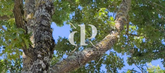 Castelos T4 em Saint-Clar, France N.º 330474 4