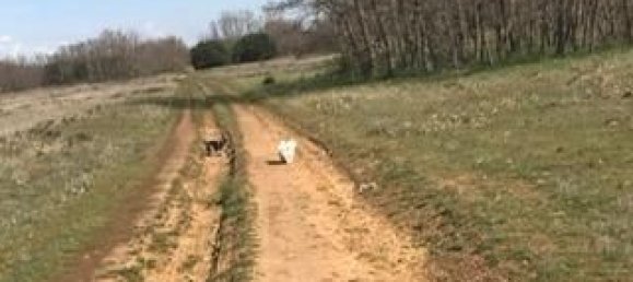 Apartamento T2 em Villadangos del Paramo, Spain N.º 73986 21