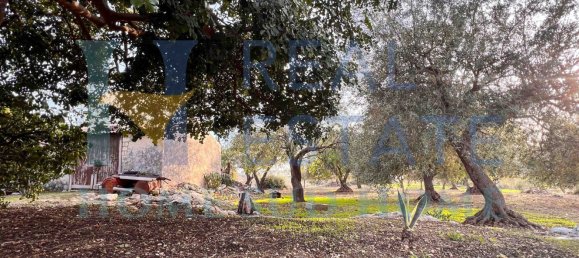 4غرفة منزل في Noto, Italy رقم 129002 20