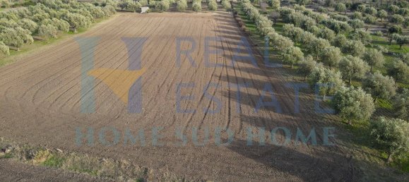 4غرفة منزل في Noto, Italy رقم 129002 12