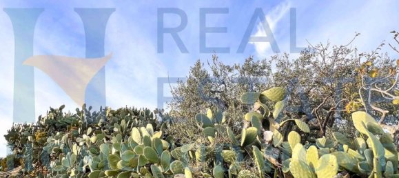 4غرفة منزل في Noto, Italy رقم 129002 16