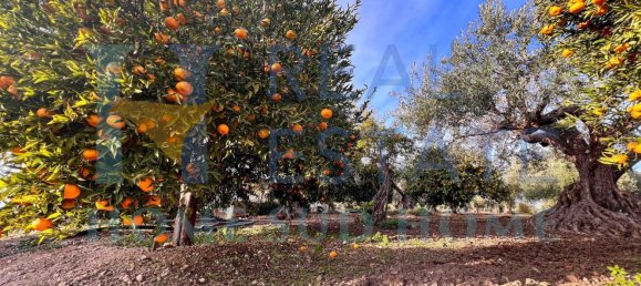 4غرفة منزل في Noto, Italy رقم 129002 3