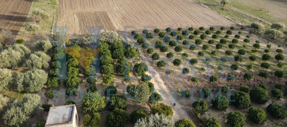 4غرفة منزل في Noto, Italy رقم 129002 11