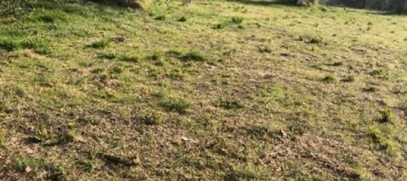 10000m² Land in Terni, Italy No. 82702 3