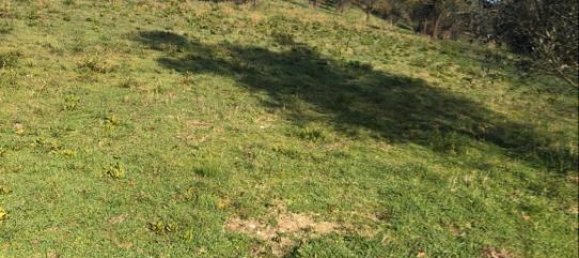 10000m² Land in Terni, Italy No. 82702 10