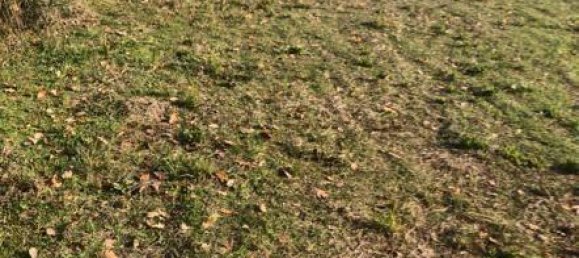 10000m² Land in Terni, Italy No. 82702 4