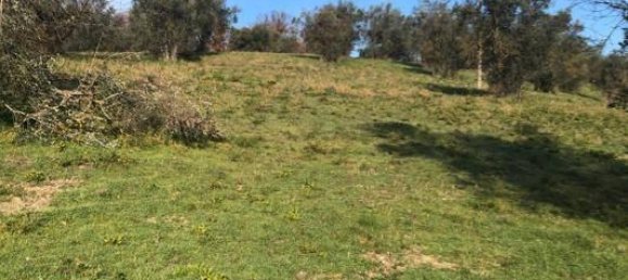 10000m² Land in Terni, Italy No. 82702 7