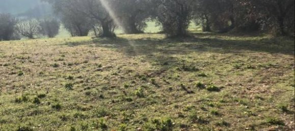 10000m² Land in Terni, Italy No. 82702 5