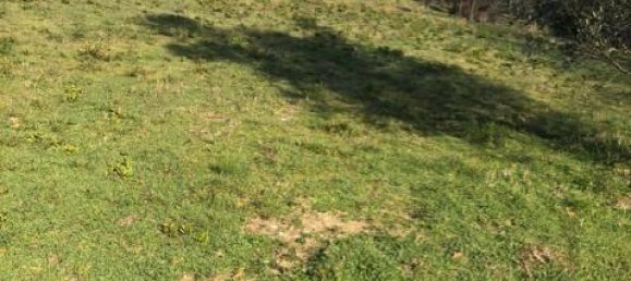 10000m² Land in Terni, Italy No. 82702 9