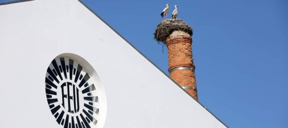 4 bedrooms Villa in Portimao, Portugal No. 111766 15