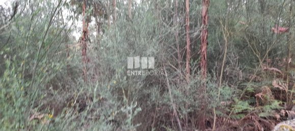 20000m² Land in Penafiel, Portugal No. 56164 5