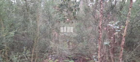 20000m² Land in Penafiel, Portugal No. 56164 3