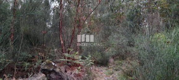 20000m² Land in Penafiel, Portugal No. 56164 4