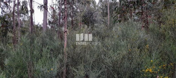 20000m² Land in Penafiel, Portugal No. 56164 6