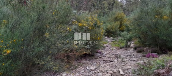 20000m² Land in Penafiel, Portugal No. 56164 7