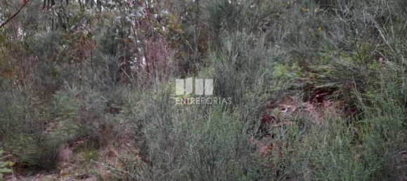 20000m² Land in Penafiel, Portugal No. 56164 8