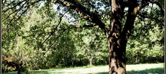 3 bedrooms Villa in Castelnaudary, France No. 313584 7