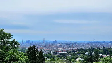 7 rooms House in Hernals, Austria No. 149614