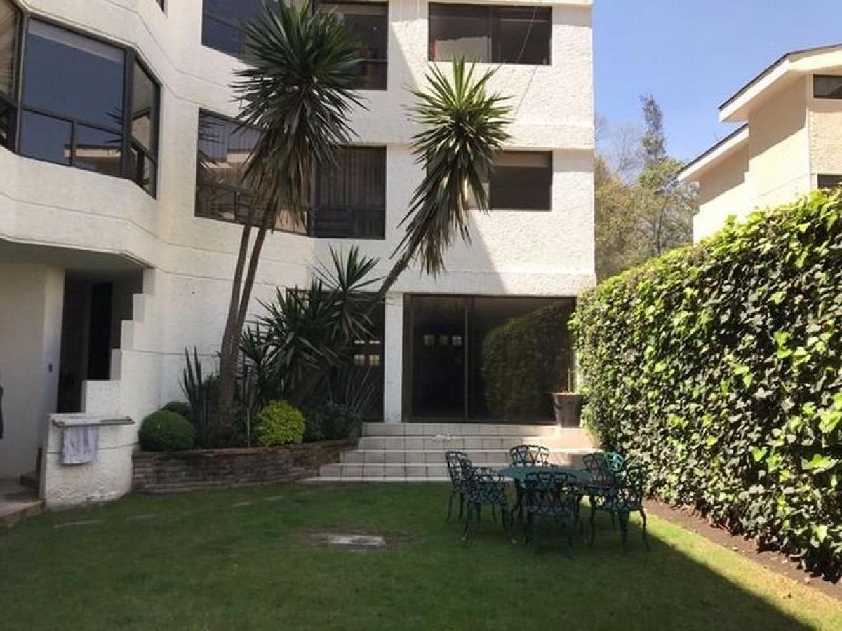 3 chambres Appartement à Mexico No. 221624