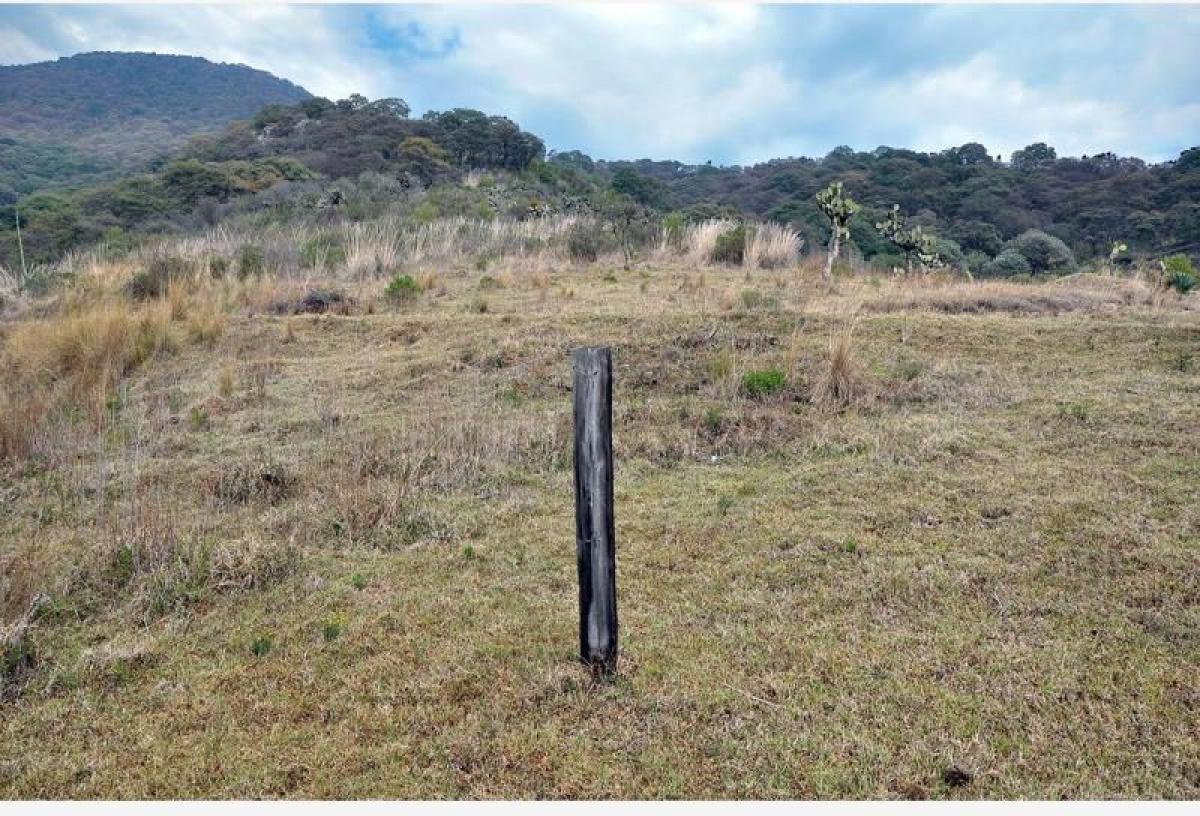 Grundstück in Mexico, Nr. 206306