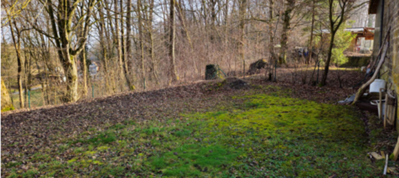 4غرفة تاون هاوس في Baden-Wurttemberg, Germany رقم 64925 10