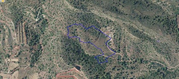  قطعة أرض في La Vall d'Uixo, Spain 22744متر مربع رقم 179013 5