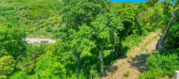 932m² Land in Bastia, France No. 92116 3