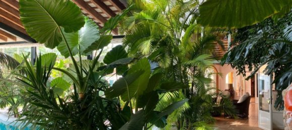 6 غرف نوم منزل في Menorca, Spain رقم 86516 33