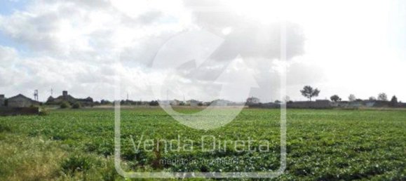  قطعة أرض في Montijo, Portugal 59882متر مربع رقم 43551 3