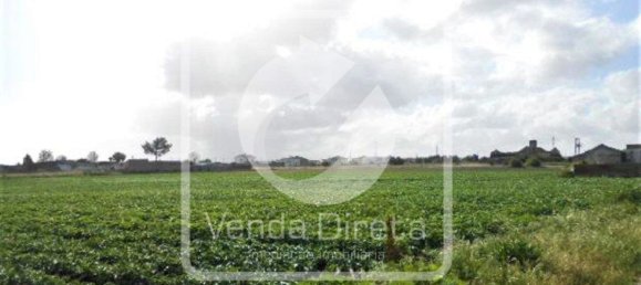  قطعة أرض في Montijo, Portugal 59882متر مربع رقم 43551 5