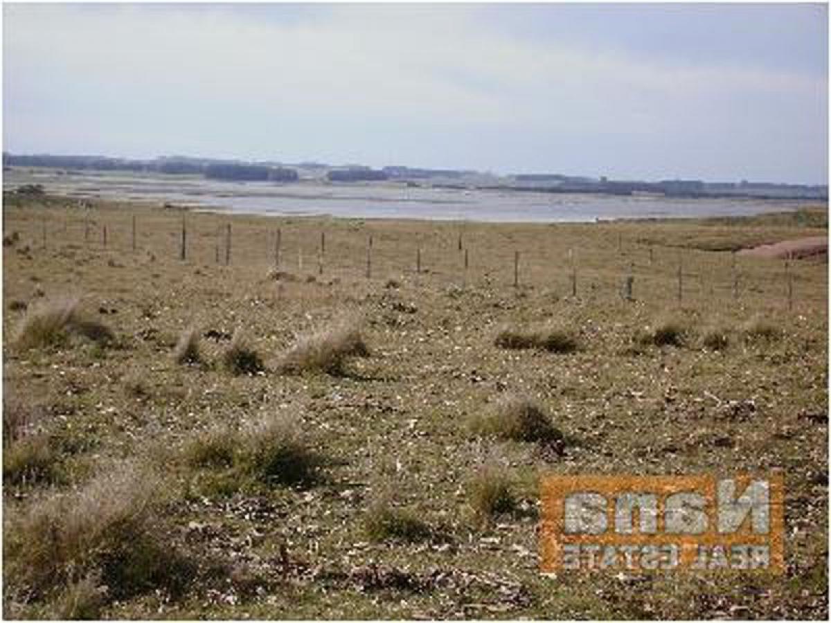 24m² Farm in Maldonado, Uruguay No. 14436