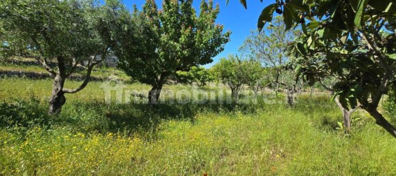 1 غرف نوم منزل في Ostuni, Italy رقم 263839 26