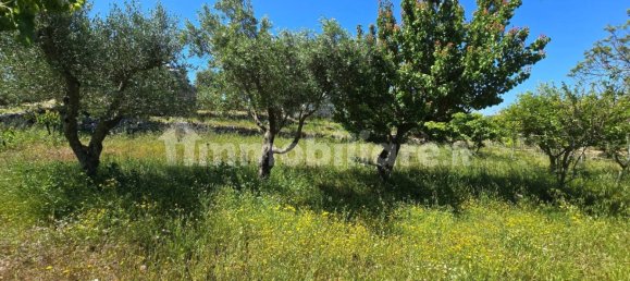 1 غرف نوم منزل في Ostuni, Italy رقم 263839 25