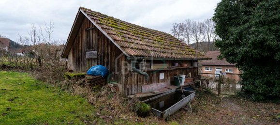 Edifício T7 em Baden-Wurttemberg, Germany N.º 38752 11