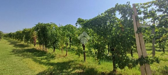 731m² Land in Forlì, Italy No. 305210 14