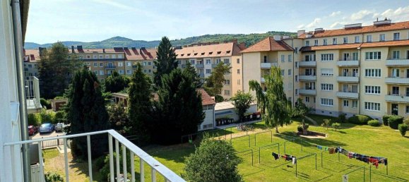 3-Zimmer Wohnung in Krems an der Donau, Austria, Nr. 171162 8