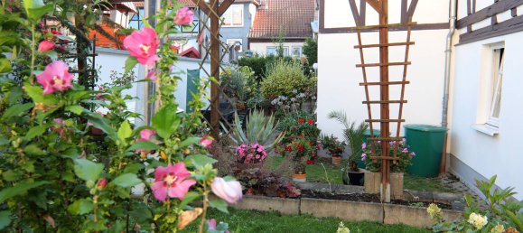 2 bedrooms Townhouse in Unstrut-Hainich-Kreis, Germany No. 79785 4