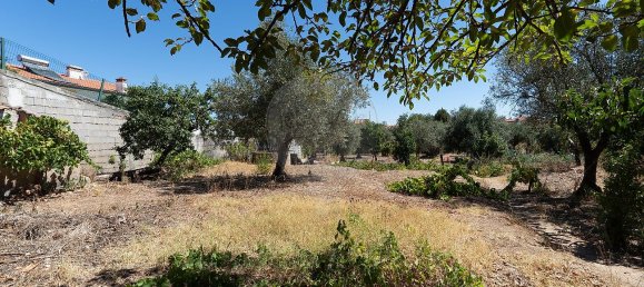 3 bedrooms House in Abrantes, Portugal No. 29092 11