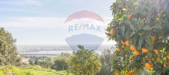 Casa T4 em Azambuja, Portugal N.º 49454 15