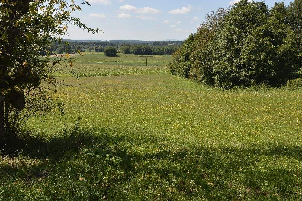 5 rooms House in Stegersbach, Austria No. 138170