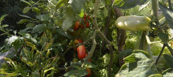 5 rooms House in Stegersbach, Austria No. 138170 26