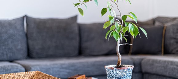 6 bedrooms Villa in Albufeira, Portugal No. 110385 12